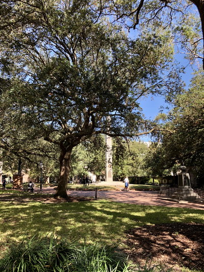 Washington Square, French Quarter, Charleston, SC, Charleston, 2019