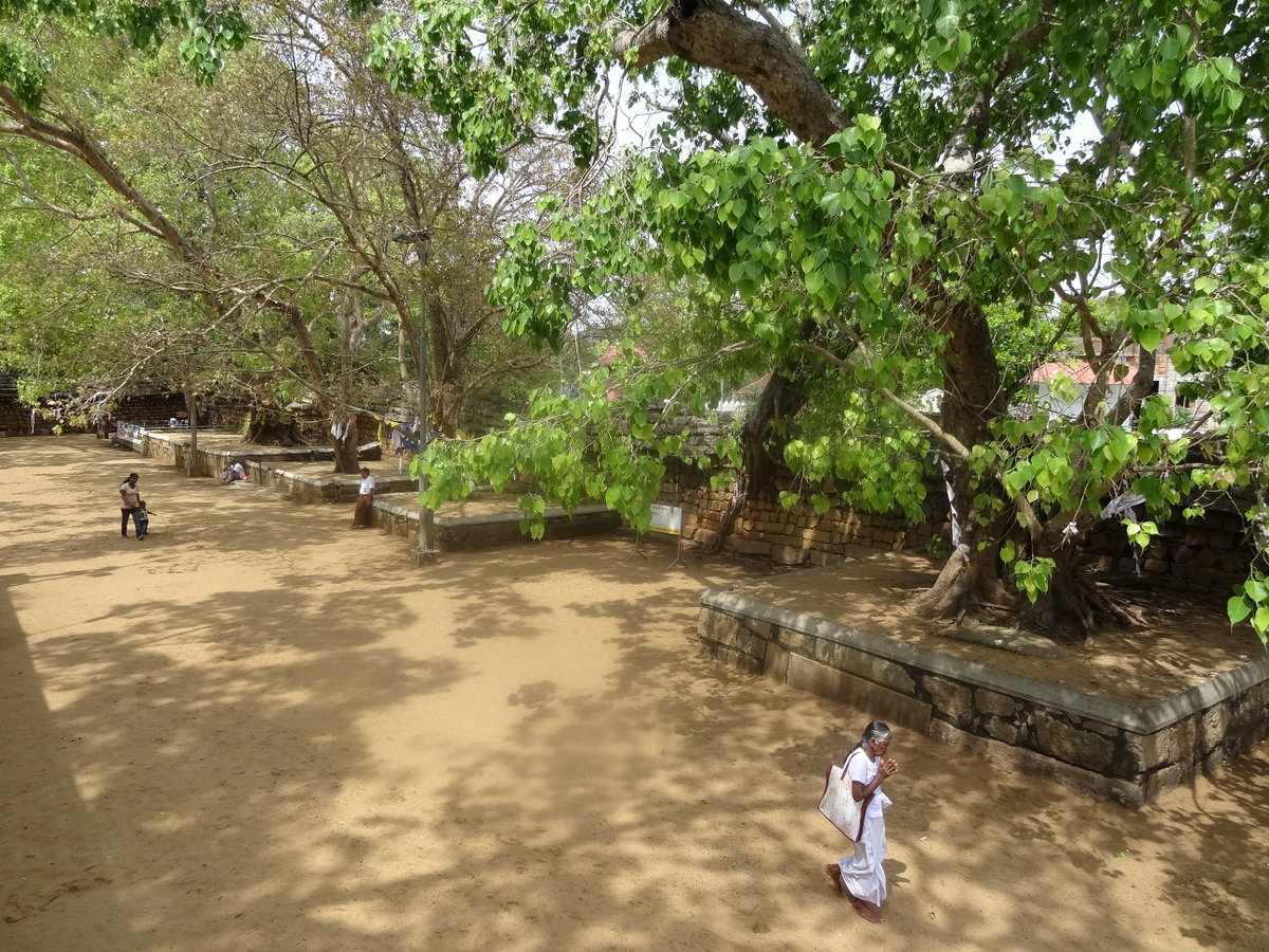 Jaya Sri Maha Bodhi 15, Anuradhapura, Sri Lanka, 2013