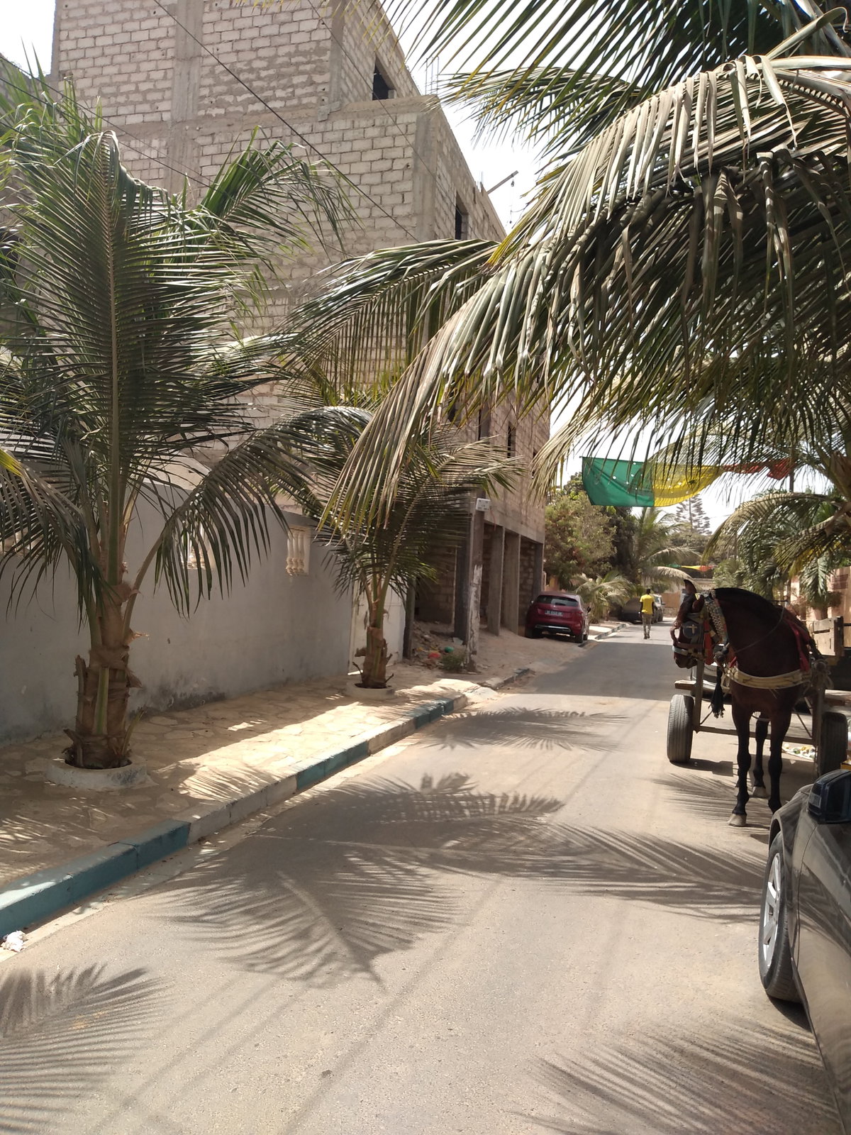 Calèche dans une ruelle à Dakar, Dakar, Senegal, 2020