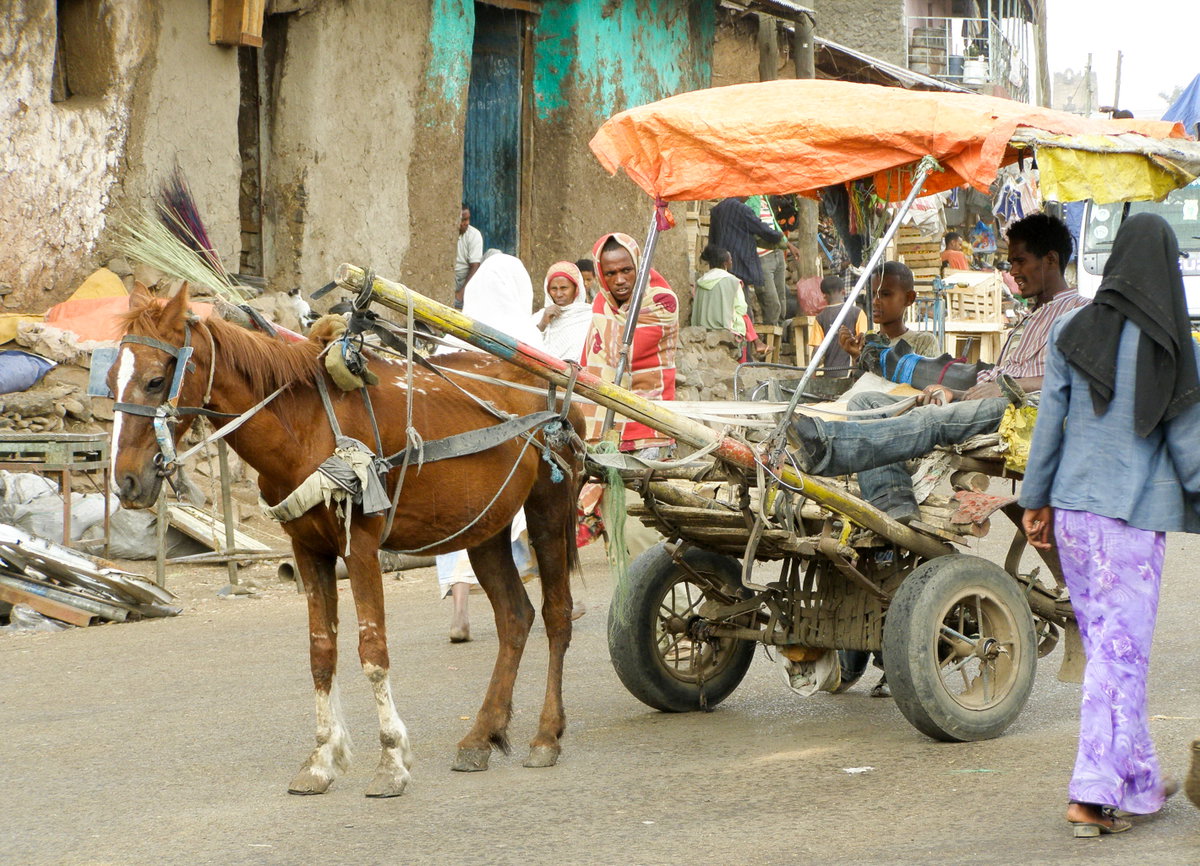 ET Gondar Fasil Ghebbi in 2008, Gondar, Ethiopia, 2008