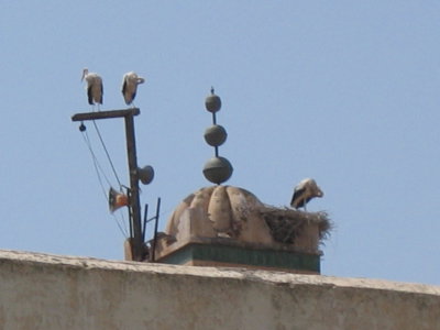 Bahia palace, Marrakesh — photos through time