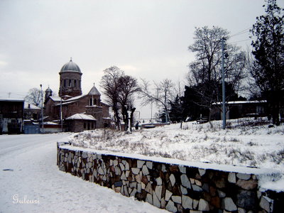 Guleuri, Gori, 2006