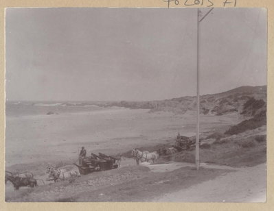 EU: Cape Town. Constantia Rout Bay - beach scene (1897), Cape Town, 1897