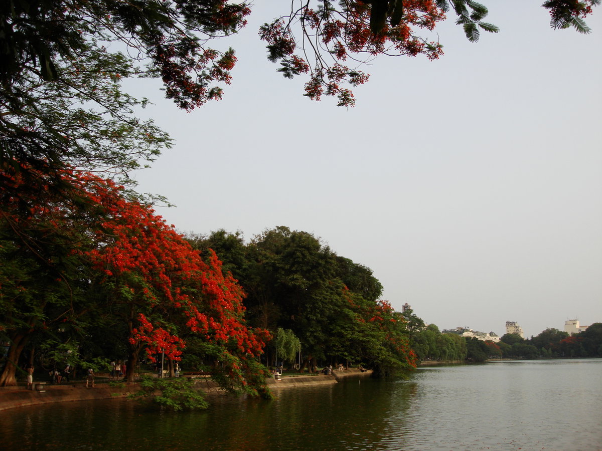 Lascar Hoan Kiem Lake, Hanoi, Vietnam, 2008