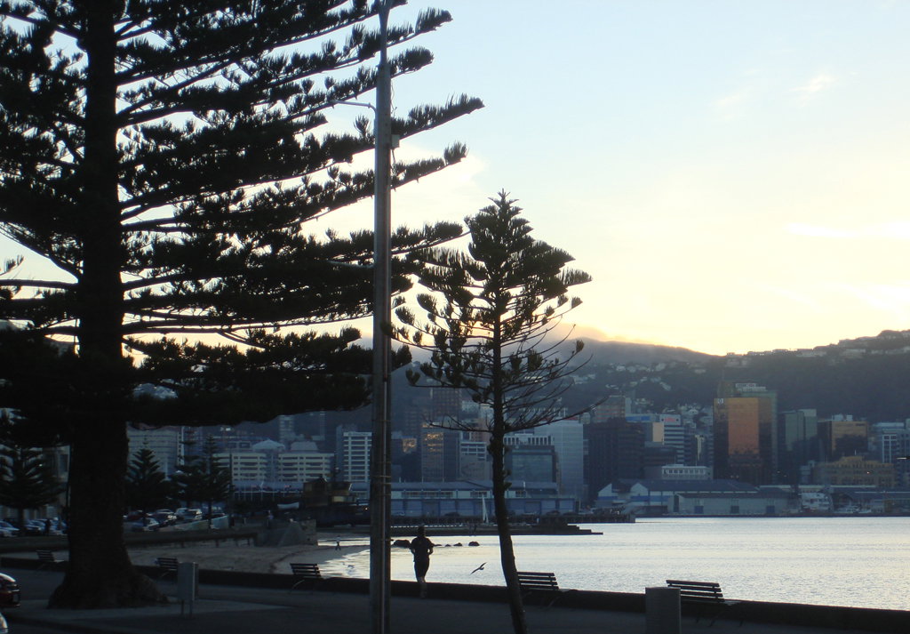 Wellington NZ Sunset - Flickr - Teacher Traveler, Wellington, New Zealand, 2008