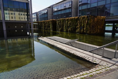 CityHall, Reykjavik, 2019