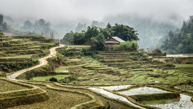 Rice Fields - Sapa, Vietnam, Sa Pa — photos through time
