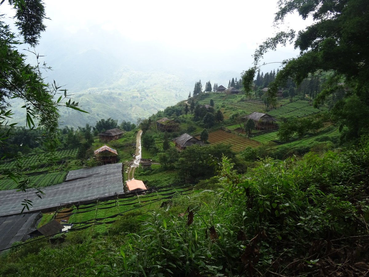 Fields in Sa Pa 2, Sa Pa, Vietnam, 2018