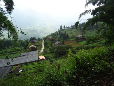 Fields in Sa Pa 2, Sa Pa, 2018