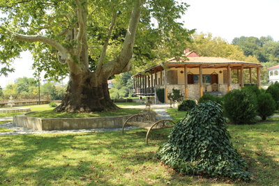 Okros chardakhi, Kutaisi, 2018