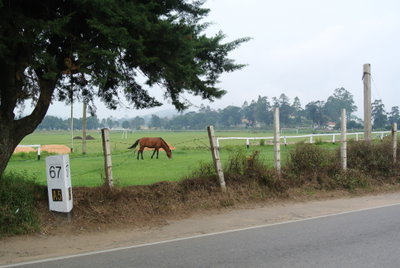 SL Nuwara Eliya racecourse, Nuwara Eliya — photos through time