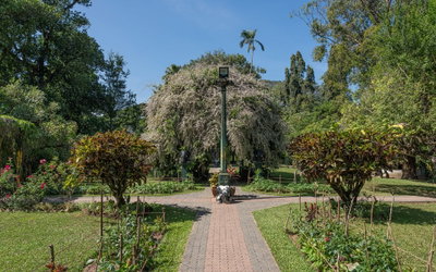 SL Kandy Wace Park, Kandy, 2020