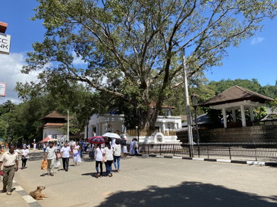 Worshippers in a temple, Kandy, 2019