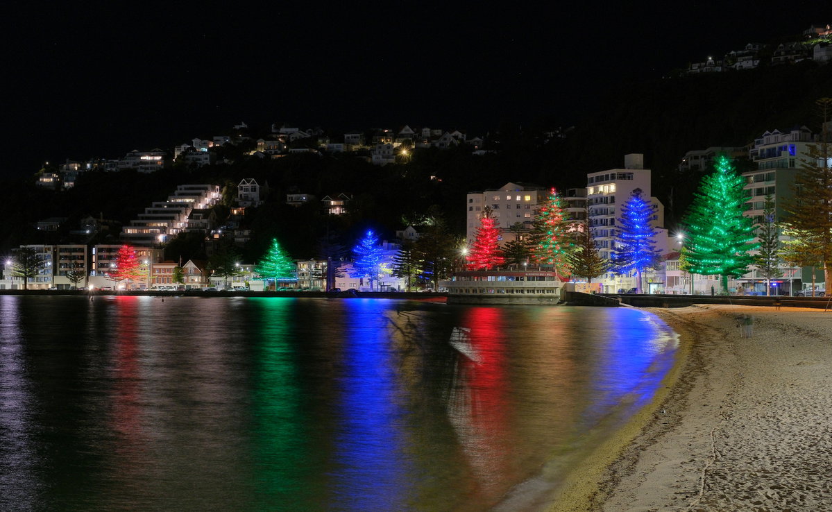 Lit up Norfolk pines at Oriental Bay at night, Wellington, New Zealand, 2024