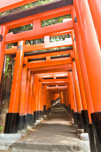 Senbon Torii, Kyoto, 2017