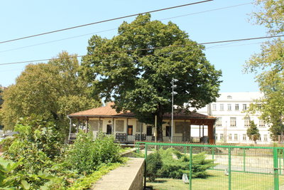 Okros chardakhi, Kutaisi, 2018