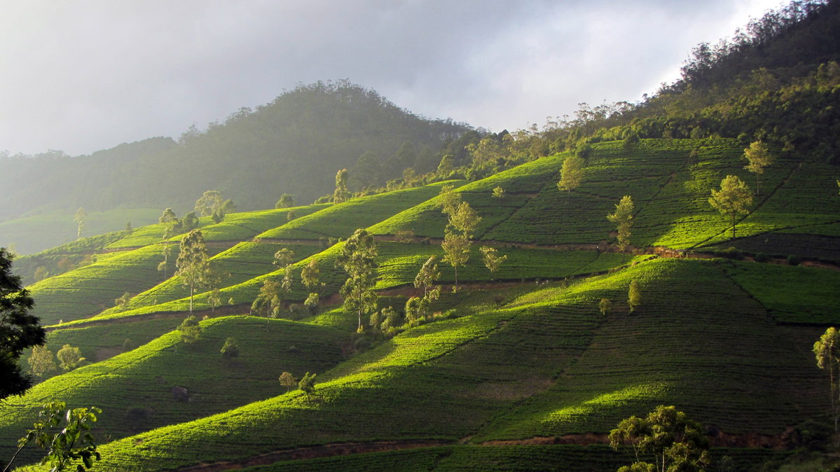 Nuwara Eliya in 2012, Nuwara Eliya, Sri Lanka, 2012