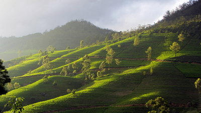 Nuwara Eliya in 2012, Nuwara Eliya, 2012