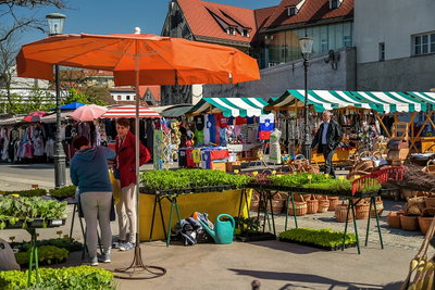 Ljubljana, Ljubljana, 2017
