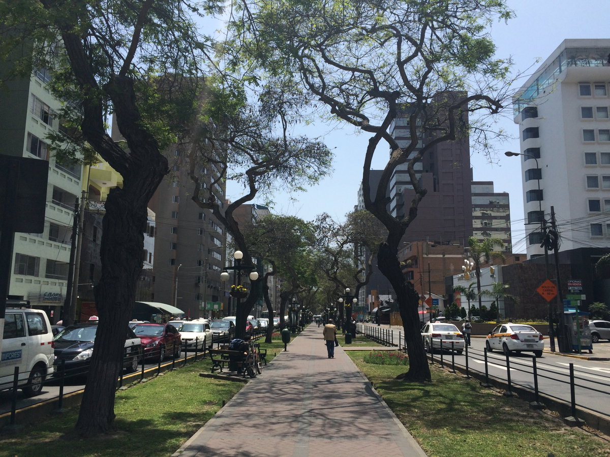 Rua de Lima - Peru, Miraflores, Lima, Peru, 2014