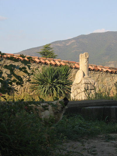 Samtavro cemetery, Mtskheta — photos through time