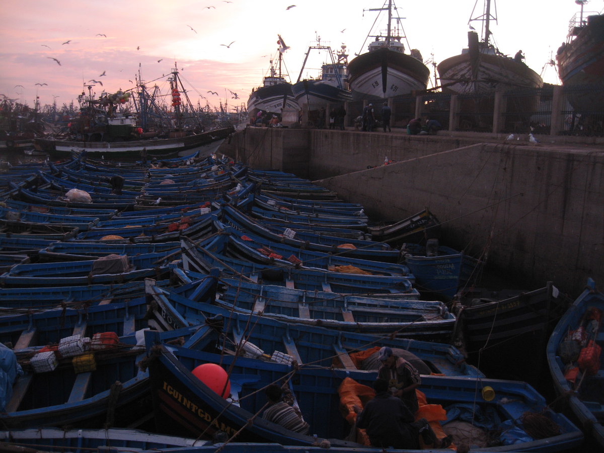 Essaouira fishing harbour (Morocco), Essaouira, Morocco, 2008