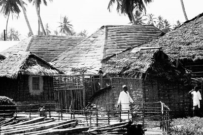 EU: Afrikaresa, Zanzibar Samtidigt förvärv: Böcker och arkivmaterial. 35 bilder i serie. (1961), Zanzibar, 1961