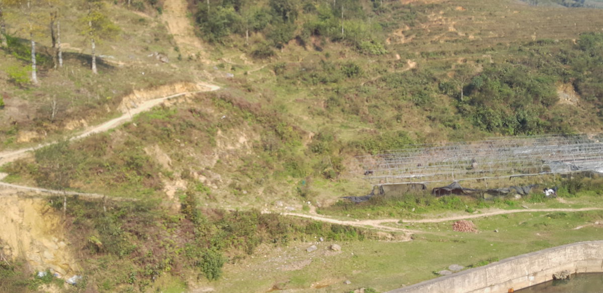 Ham Rong, Ta Phin, QL.4D.Sa Pa, rice fields (24301), Sa Pa, Vietnam, 2025