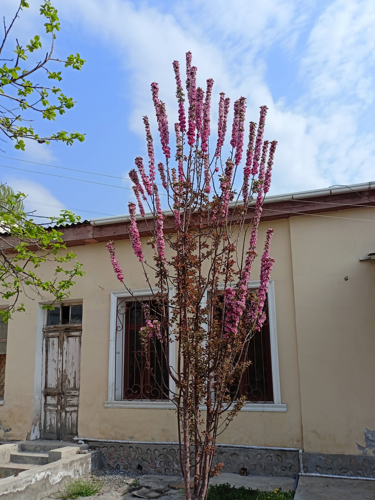 Коканд. Улица Обод Юрт 02, Kokand, Uzbekistan, 2024