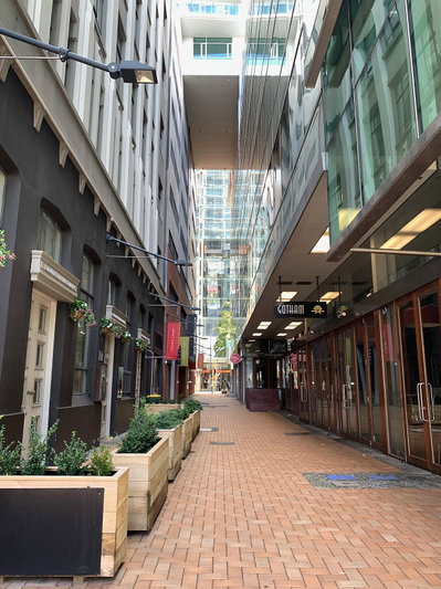 Chews Lane, Wellington — photos through time