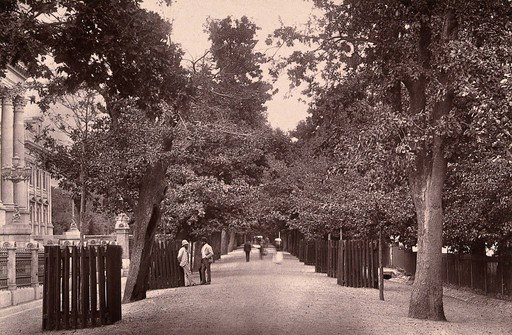 EU: Cape Town, South Africa: Government Avenue (1888), Cape Town, South Africa, 1888