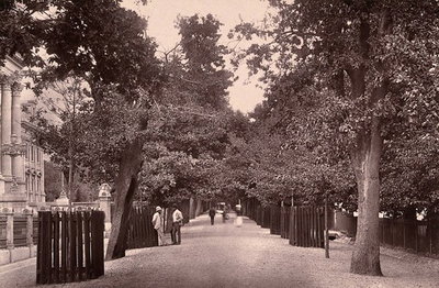 EU: Cape Town, South Africa: Government Avenue (1888), Cape Town, 1888