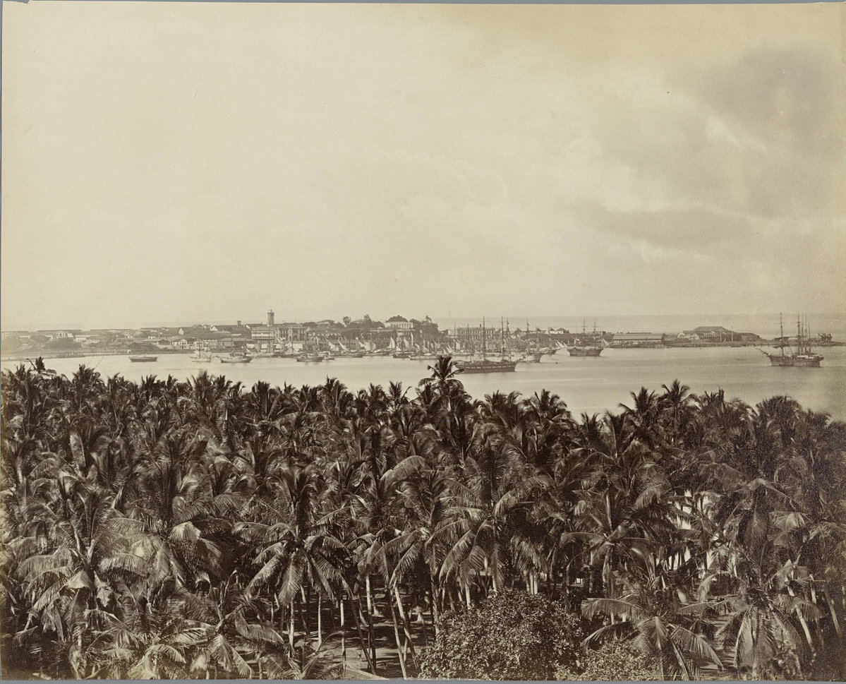 EU: View of the City and Harbour of Colombo, from the St James Church Belfry (1904), Colombo, Sri Lanka, 1904