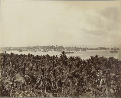 EU: View of the City and Harbour of Colombo, from the St James Church Belfry (1904), Colombo, 1904