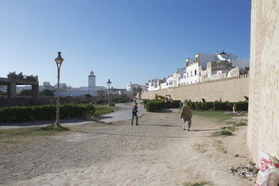 Essaouira, Essaouira, 2014