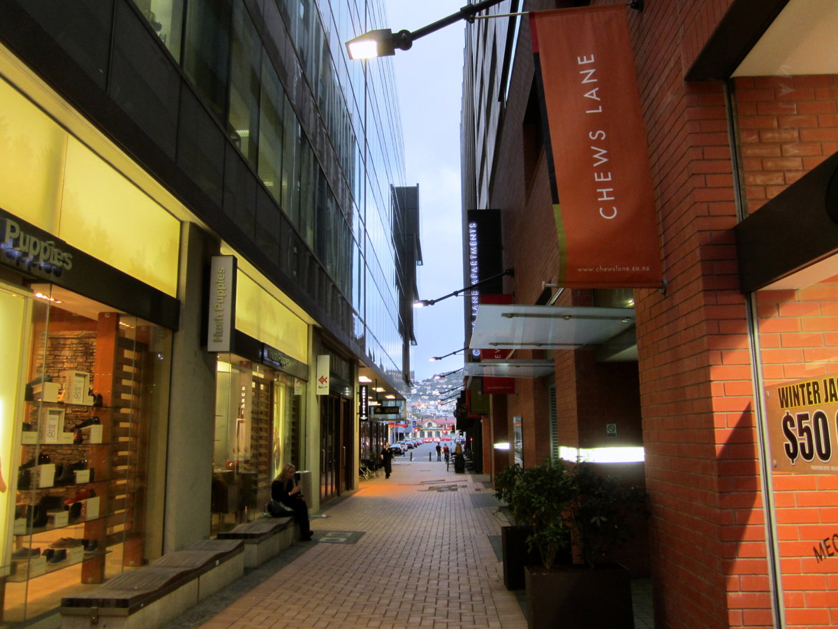 Chews Lane June, Wellington, New Zealand, 2012