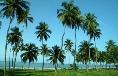 Gulf of Guinea Coast, Cape Coast, 2009