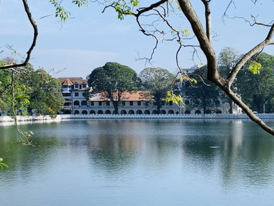 Majesty on the other side, Kandy, 2019