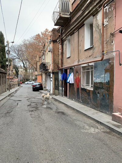 Tiflis, Tbilisi, 2020