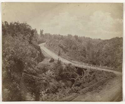 EU: Bergweg bij Tanah Wangi / Malang (1880), Malang, 1880