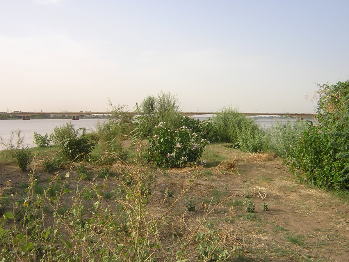 Confluence of Nile (Khartoum) 001, Khartoum, Sudan, 2009