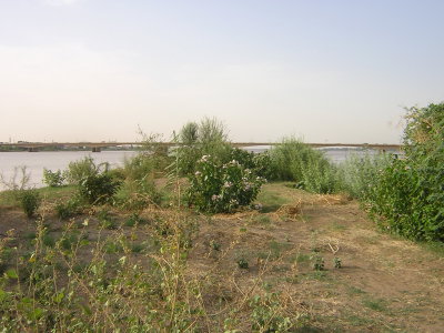 River Nile, Khartoum — photos through time