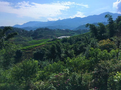 Landscape in Sa Pa 2, Sa Pa, 2018