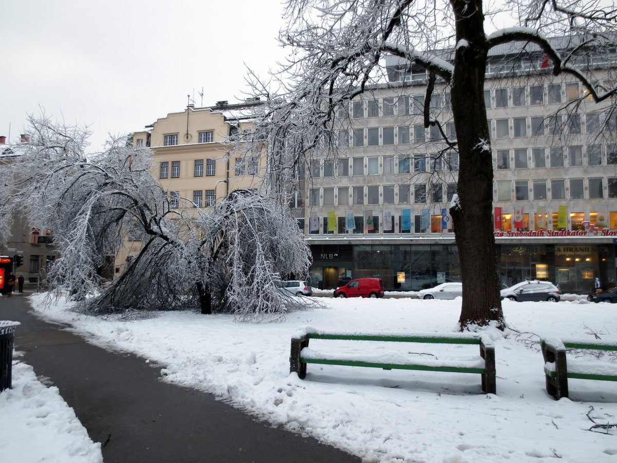 Miklošičev park, Ljubljana, Slovenia, 2014