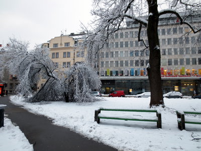 Miklošičev park, Ljubljana, 2014