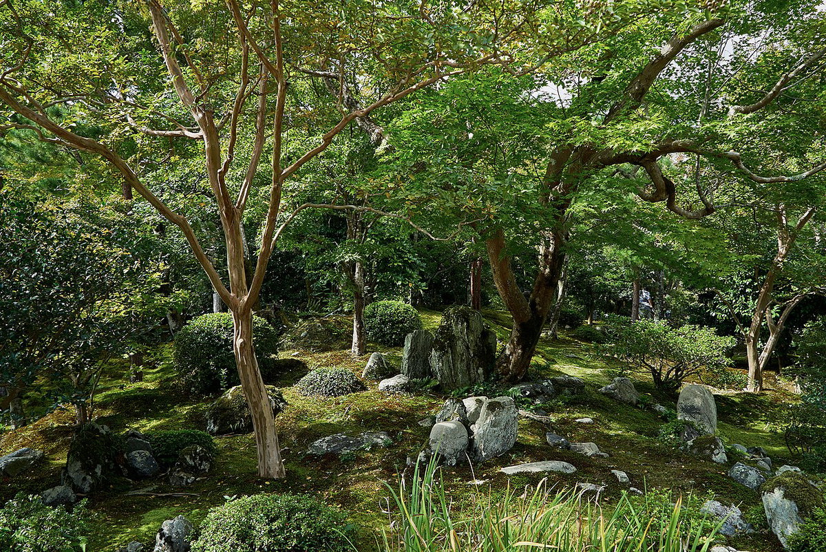 Kyoto, Japan, Kyoto, Japan, 2016