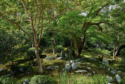 Kyoto, Japan, Kyoto, 2016