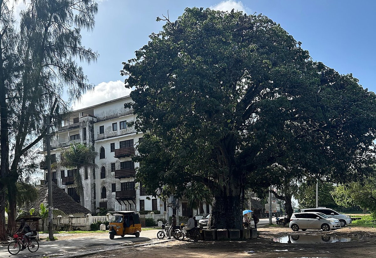 Portuguese Chapel Malindi baobab, Malindi, Kenya, 2023