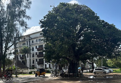 Portuguese Chapel Malindi baobab, Malindi — photos through time
