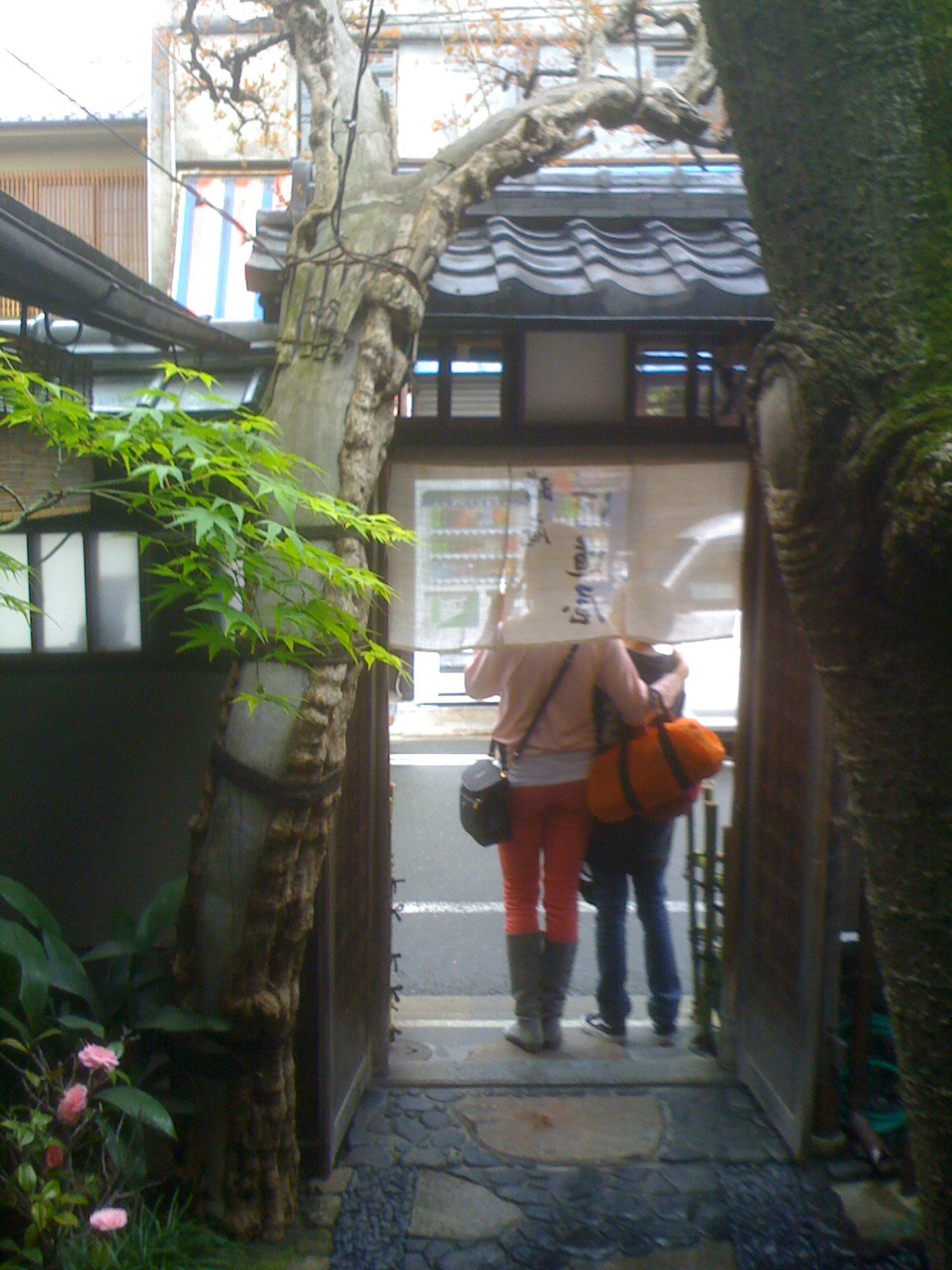 Entrance of noodle restaurant by hapsavage in Kyoto, Kyoto, Japan, 2008